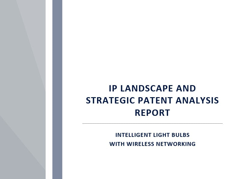 IP Landscape Report