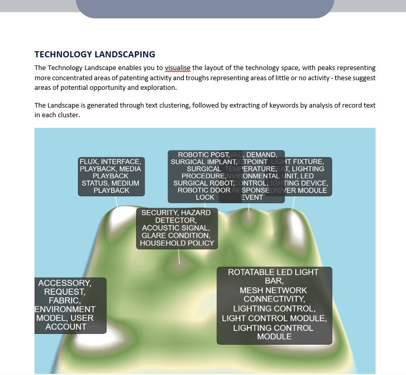 Patent Landscape Report (short version)