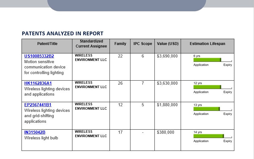 Patent Monetization Report