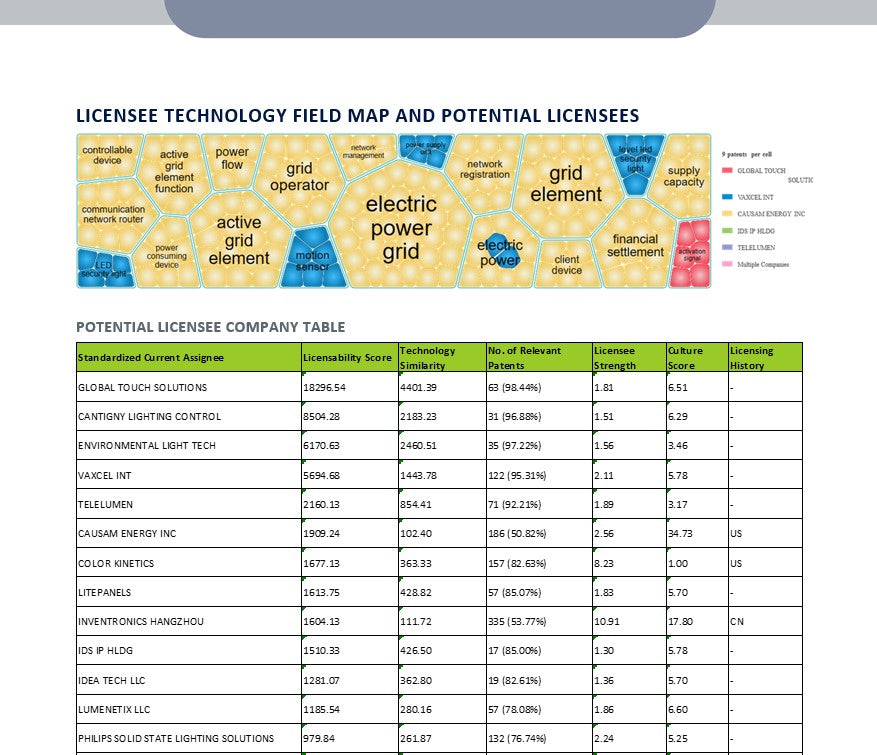 Patent Monetization Report